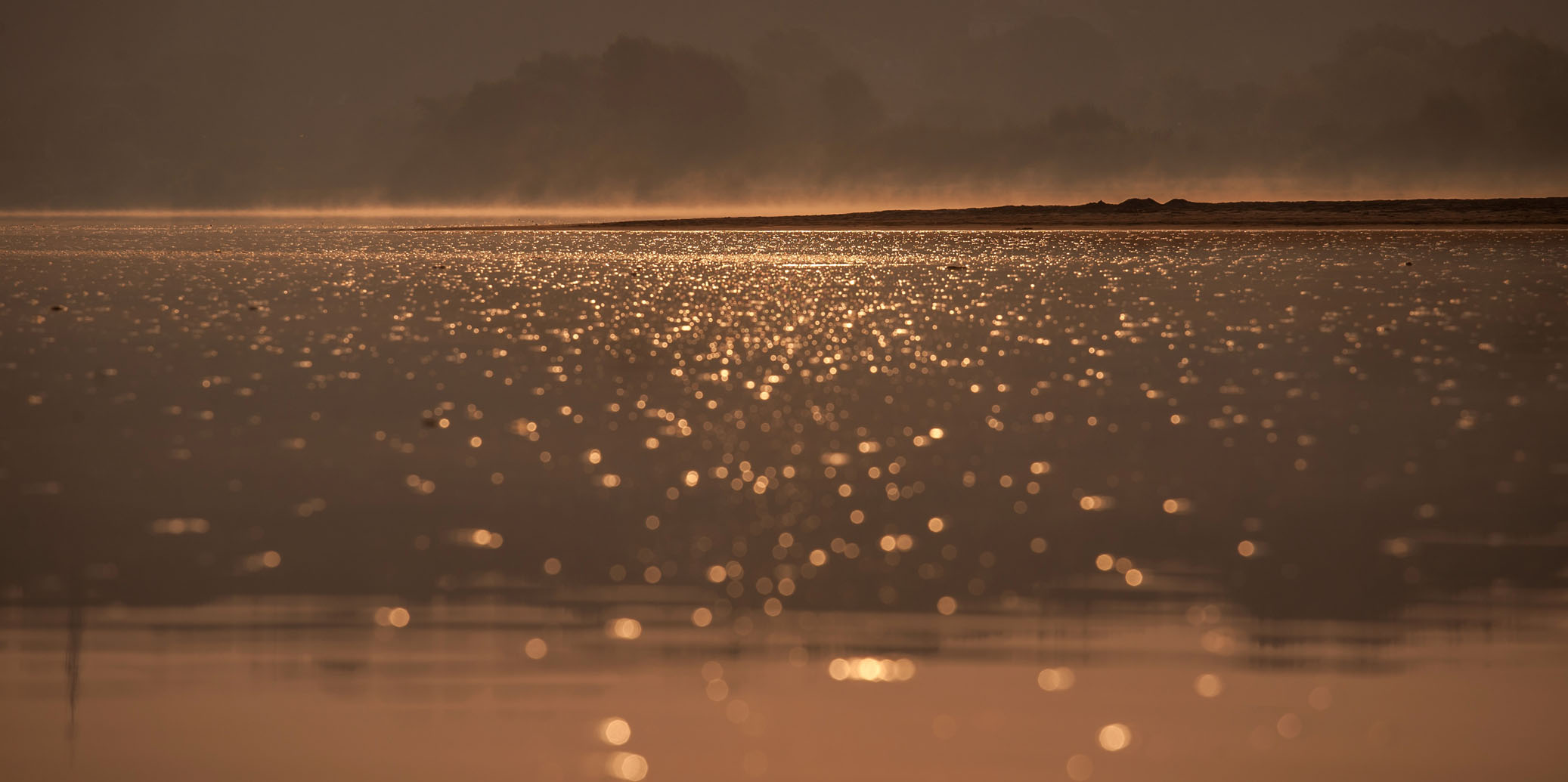 banner-unten-formular
