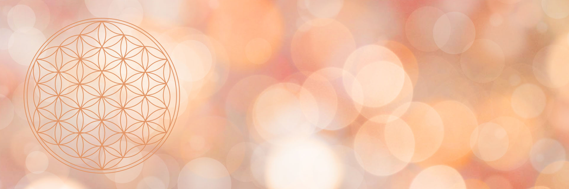 banner-unten-lebensblume